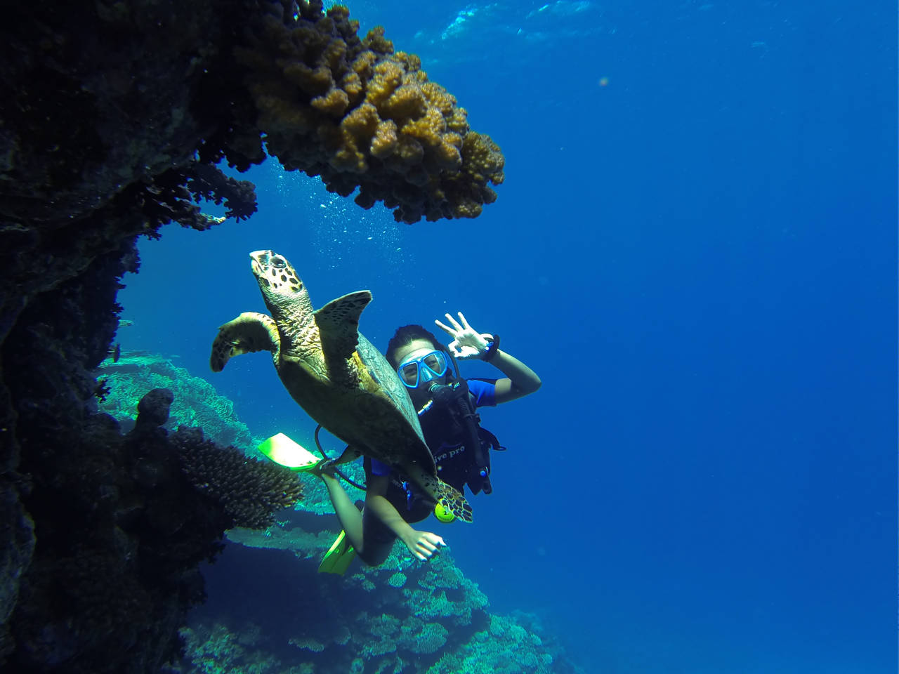 The best company for diving safari in Marsa Alam